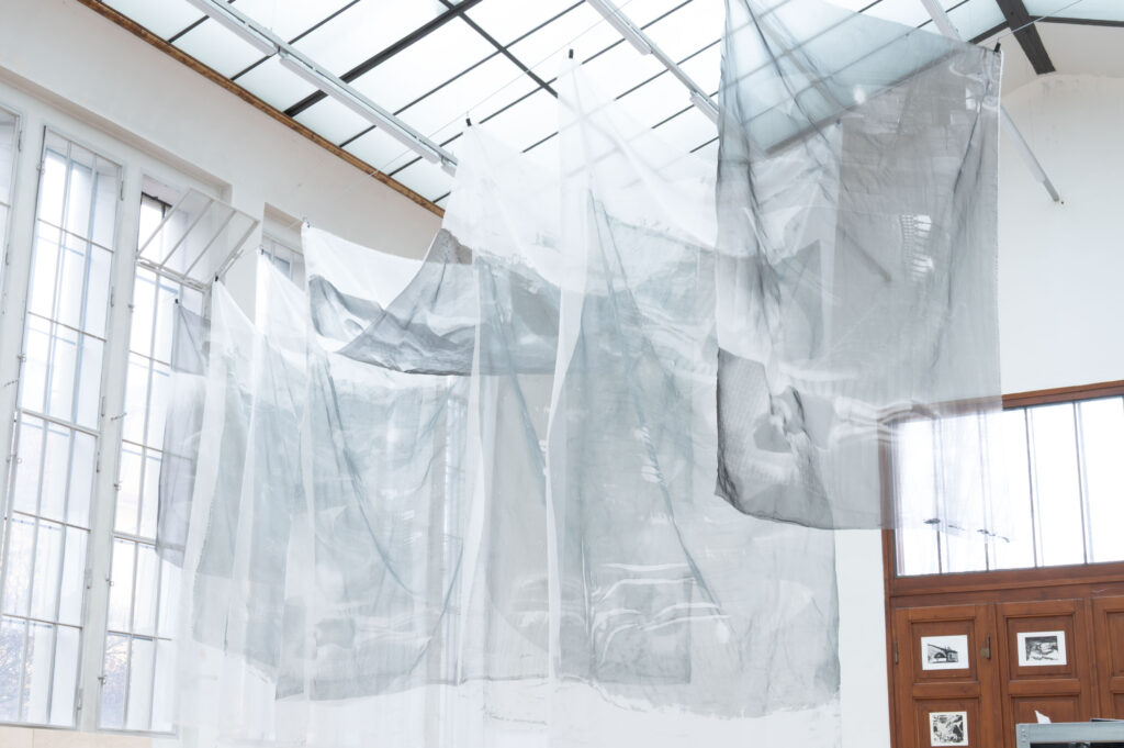 <p>photo: Rachael Thorleifson</p>
