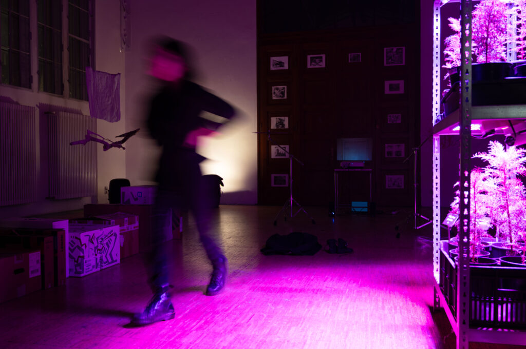 <p>photo: Rachael Thorleifson</p>
