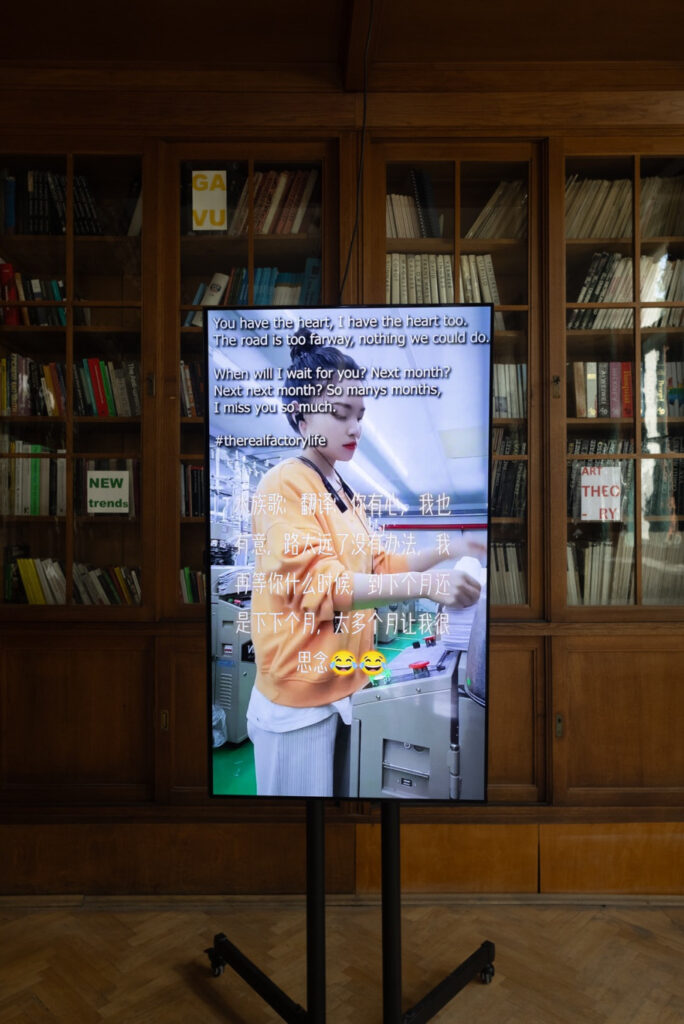 <p>photo: Radek Dětinský</p>
